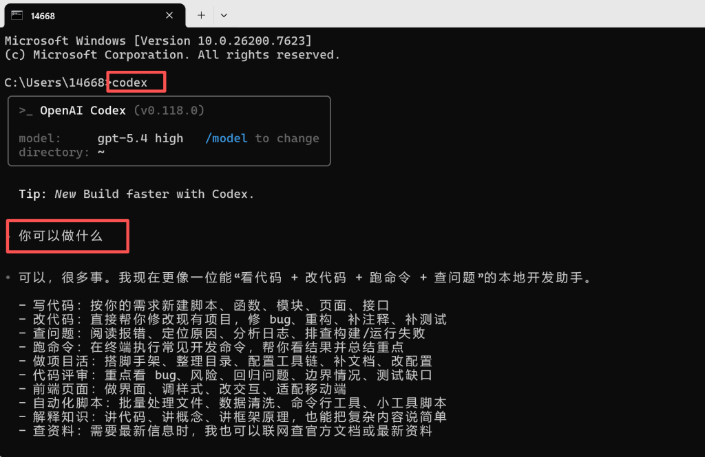dkai-codex配置apikey设置中转站教程插图6